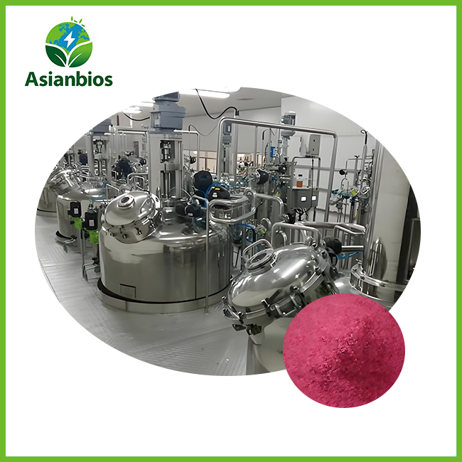 Production Technology Of Vitamin B12